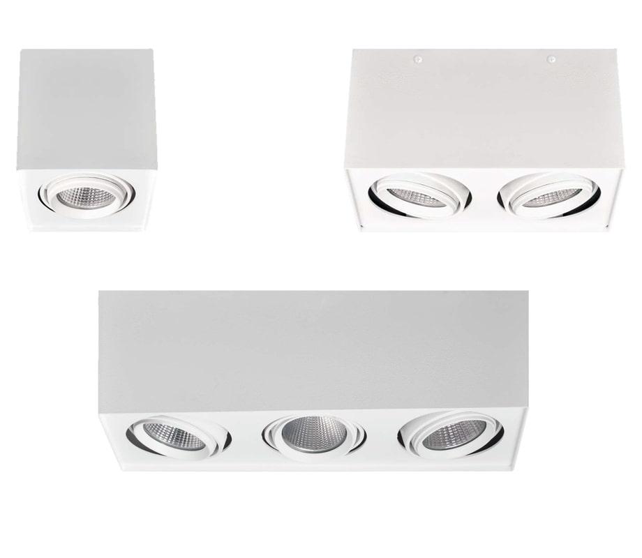 Surface Mounted Adjustable Downlight