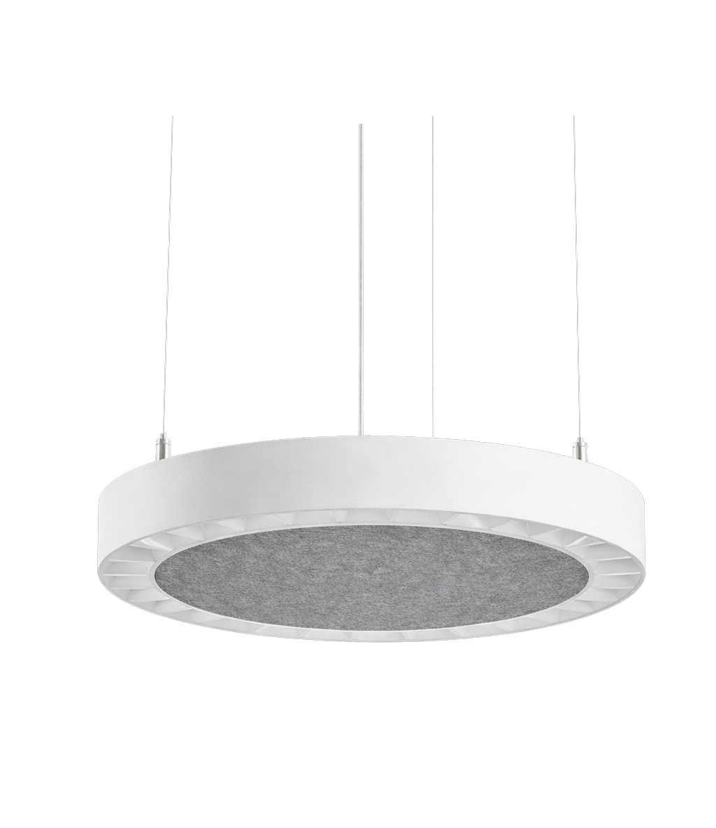 ELITE DAISY O ACOUSTIC